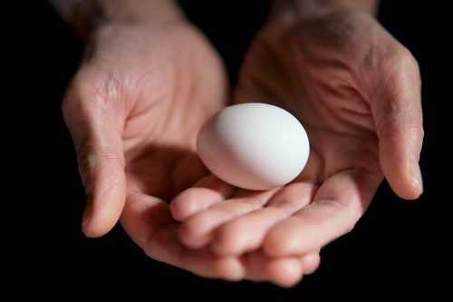 Как с помощью яйца узнать порчу